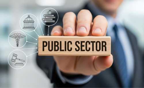 A person holding a wooden block reading 'Public Sector'