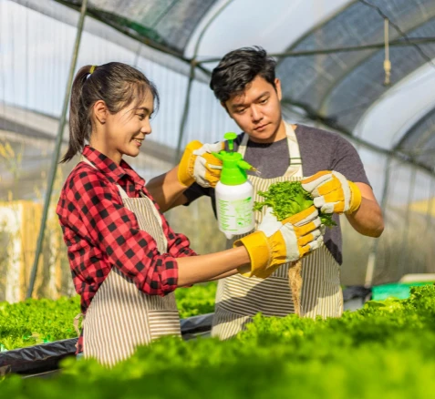 Agricultural and farming field activities at the Centre for Biohappiness